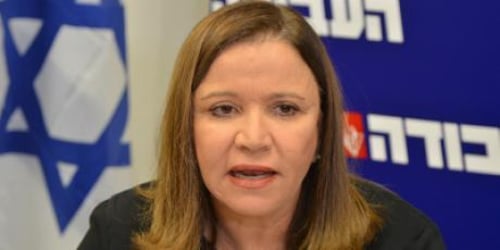 יחימוביץ': "קוראת ליועץ המשפטי לערער על זיכוי ליברמן"