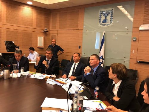 אדלשטיין בא לפקח: השרים הציגו תכניות עבודה