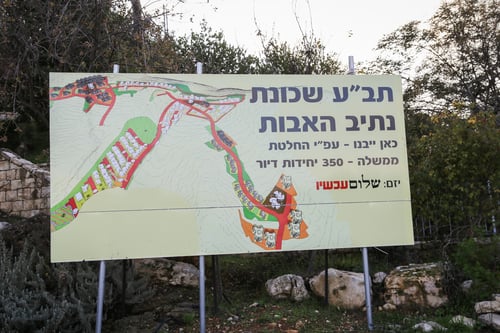 80 מיליון ש"ח ליו"ש: איך חולק התקציב? כל הסעיפים
