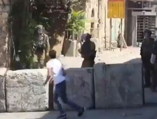 "מעדיף אלף סרטונים של אלאור אזריה ולא אחד כזה"