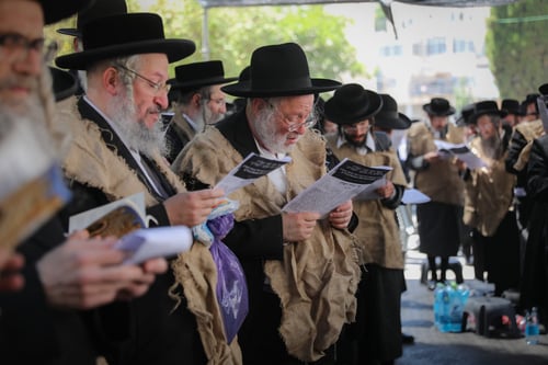 צפו: תיקון לתשעת הימים נגד הרכבת הקלה