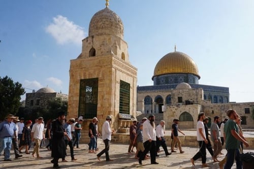 תקדים: אושרה תפילה יהודית בהר הבית