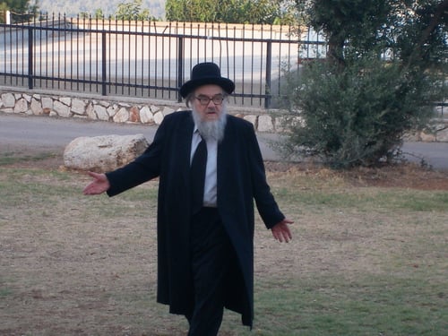 אבל בעולם התורה: הרב אברהם ארלנגר הלך לעולמו
