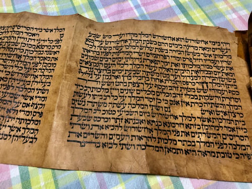 סיפורה של מגילה עתיקה: "כשאני מחזיק בה אני רועד"