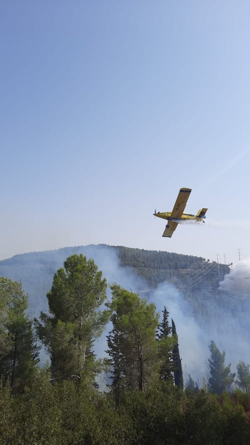 שריפת חורש נרחבת ברמות: מטוסי כיבוי הוקפצו לסייע
