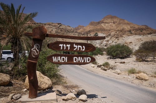 בן ה-8 שניצל מהאסון בנחל דוד: "חטפתי סלע בראש"