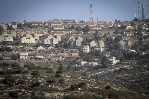 בזכות התצפיתניות: נתפס מחבל חמוש ליד אלון מורה