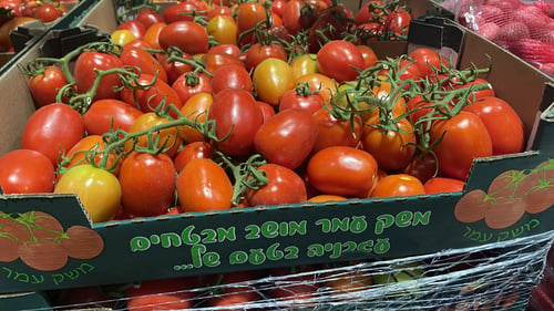 דרום אדום: צה"ל חזר לקנות עגבניות מעוטף עזה