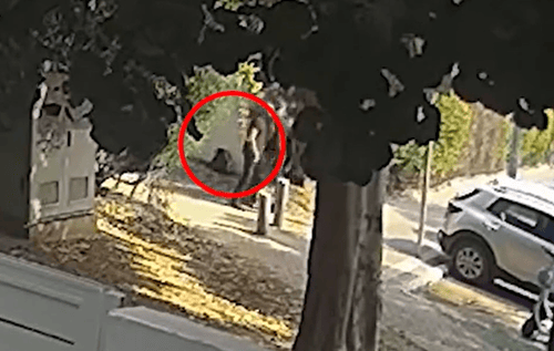שני נערים נעצרו רגע לפני ביצוע פיגוע. צפו בתיעוד