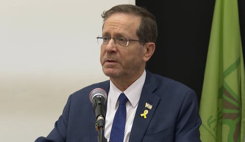 הרצוג ברמז לסטרוק: "אמירות שאינן מועילות"