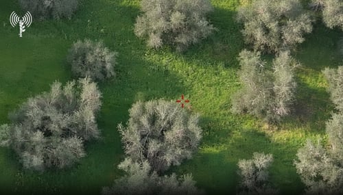 אחד בשיח, שלושה ברכב: תיעוד חיסול חולייה בלבנון