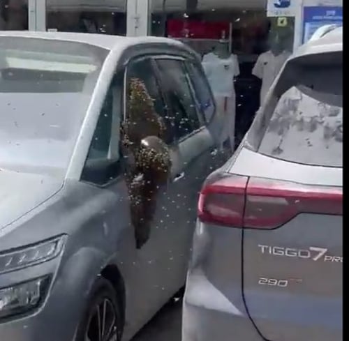בהלת ענק בדרום: חנויות נסגרו, אנשים צרחו
